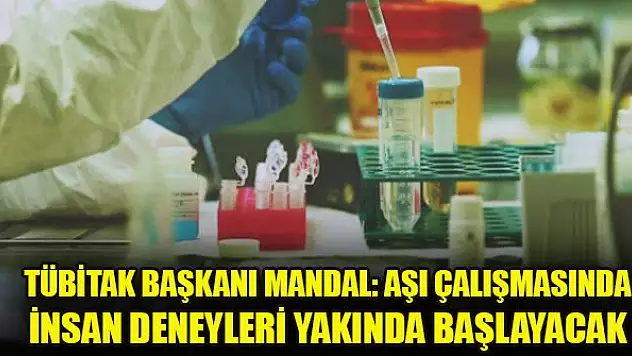 TÜBİTAK Başkanı Mandal: Aşı çalışmasında insan deneyleri yakında başlayacak