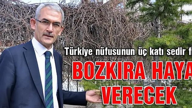 Nüfusun üç katı sedir fidanı bozkıra hayat verecek