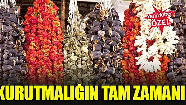 Kurutmalığın tam zamanı!