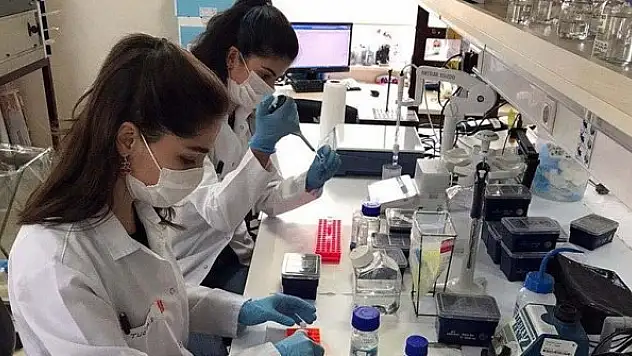 Koronavirüs aşı çalışmalarında önemli aşamaya gelindi