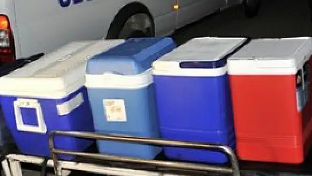 'Organ Naklinde AB'ye Uyum için Teknik Destek'