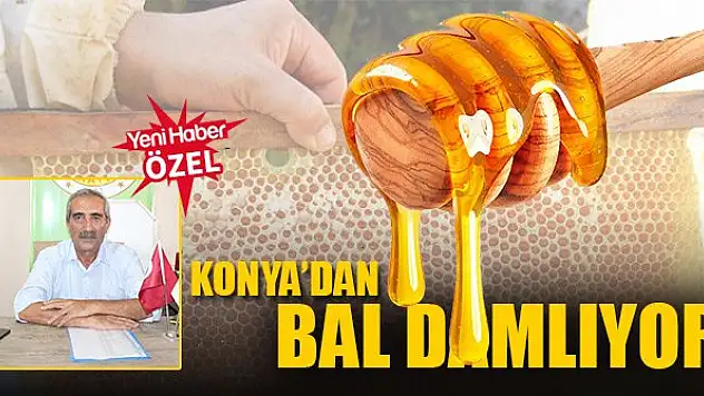 Konya'dan bal damlıyor