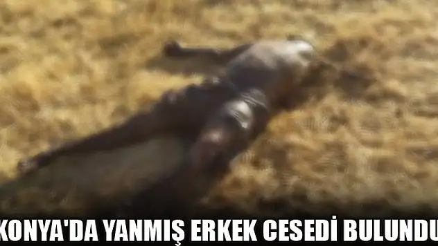 Tarlada üzerinde yanık izleri bulunan erkek cesedi bulundu