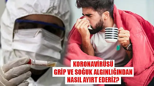 Koronavirüsü grip ve soğuk algınlığından nasıl ayırt ederiz?