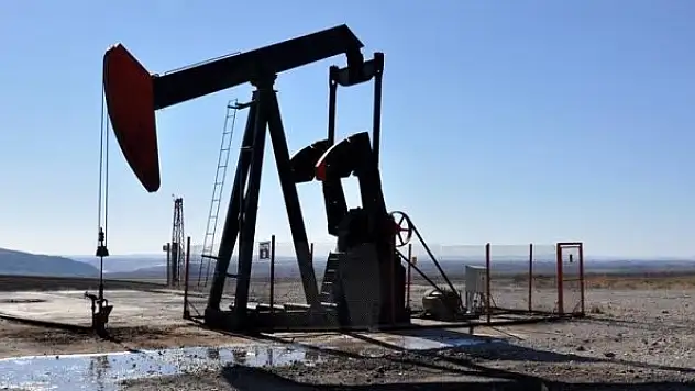 TPAO'ya 4 petrol arama ruhsatı verildi