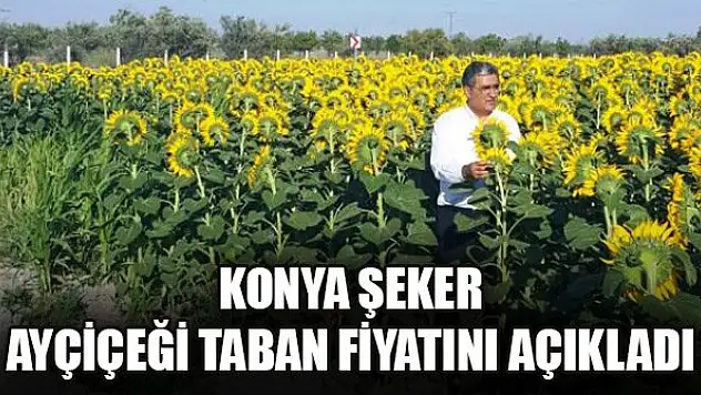 Konya Şeker ayçiçeği taban fiyatını açıkladı