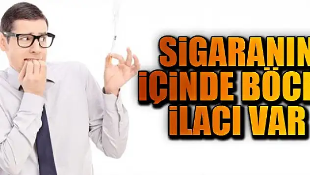 Sigaranın içinde böcek ilacı var