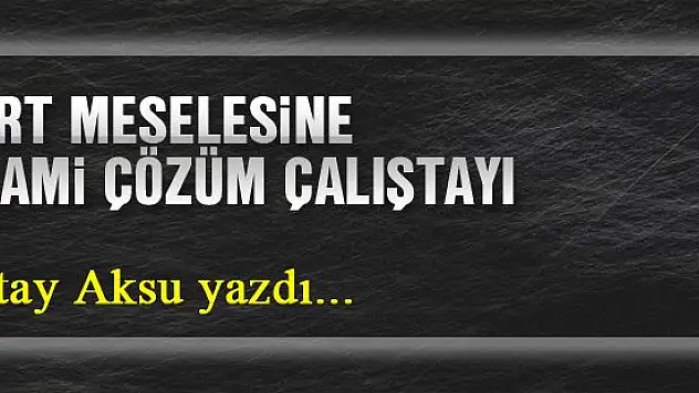 Kürt meselesine islami çözüm çalıştayı... Oktay Aksu yazdı...