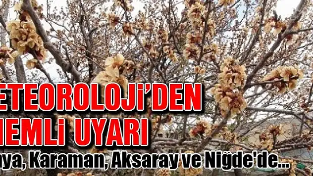 Meteorolojiden zirai don uyarısı