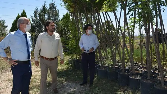 Recep Candan sahaya indi