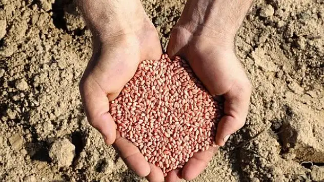 Tarım sektörü Kovid-19 salgınına rağmen büyümeye devam ediyor