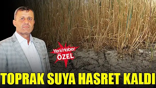 Toprak suya hasret kaldı