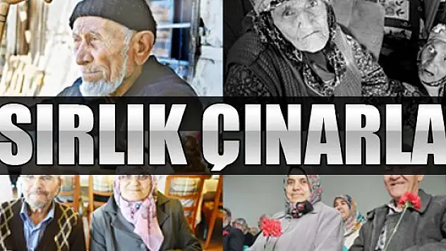 Asırlık çınarlar