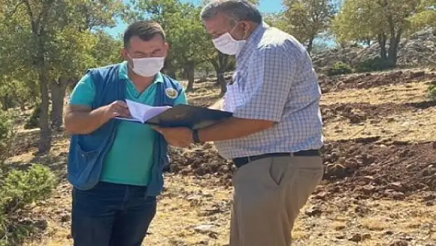 Güneysınır'a bal ormanları tesis ediliyor