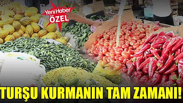 Turşu kurmanın tam zamanı!