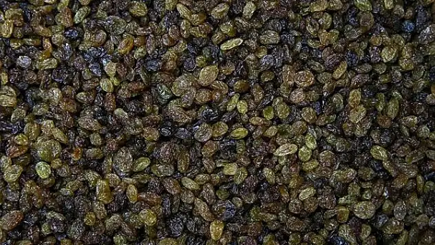 TMO kuru üzüm alımlarına başlıyor