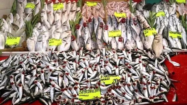 Balık avında sezon bereketli başladı