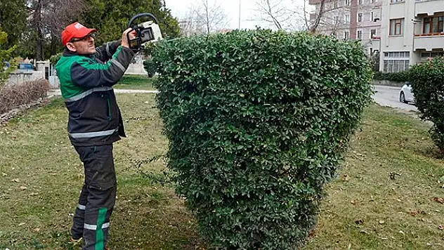 Meram'da bahar hazırlıkları