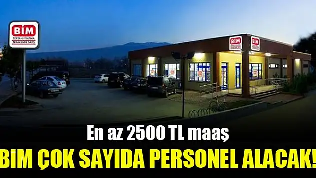 BİM çok sayıda personel alacak! En az 2500 TL maaş