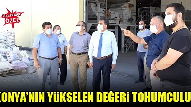 Konya'nın yükselen değeri tohumculuk