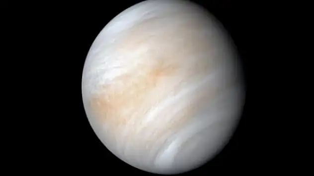 Bilim insanlarından heyecanlarından keşif!