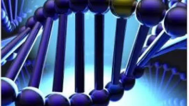 Avrupalılar nereli?