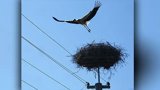 'Doğaya karşı sorumluluğumuz var!'