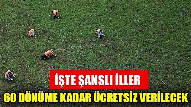 60 dönüme kadar ücretsiz verilecek: İşte şanslı iller