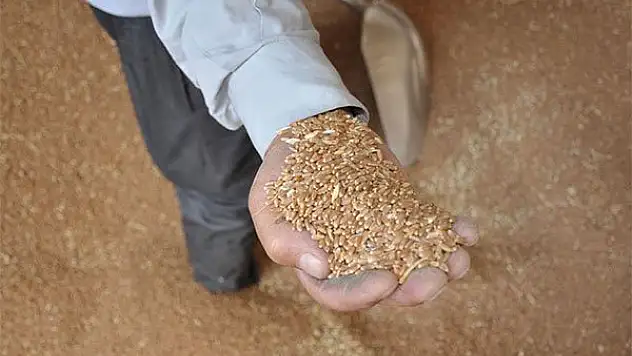 Konya'da hububat fiyatları