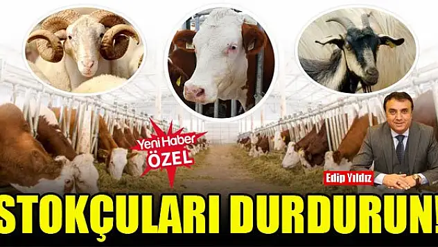 Stokçular değil üretici kazansın!