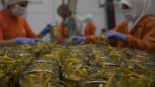 Türk turşusu 120 ülkeye ihraç edildi