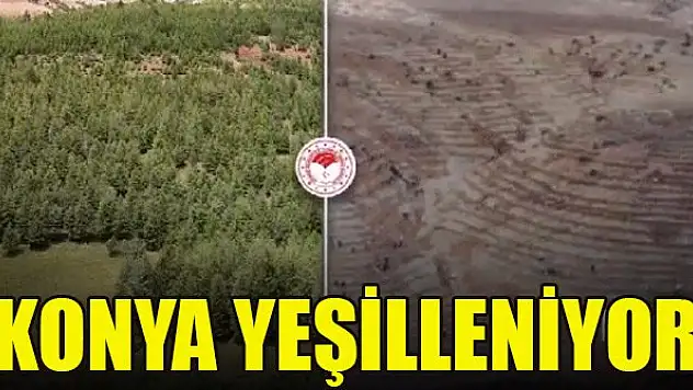 Konya yeşilleniyor