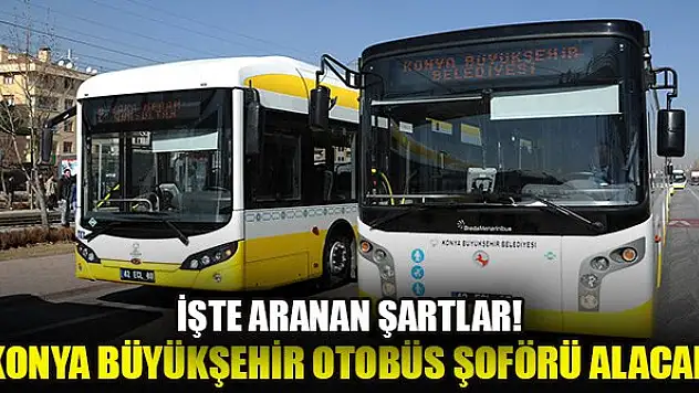 Konya Büyükşehir Belediyesi otobüs şoförü alacak