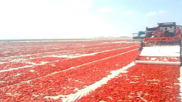 Konya'nın Gün Kurusu, Avrupa'nın baştacı