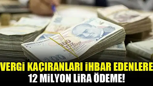 Vergi kaçıranları ihbar edenlere 12 milyon lira ödeme!