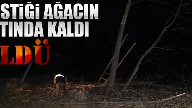 Kestiği ağacın altında kaldı öldü