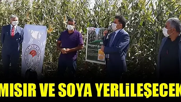 Mısır ve soya yerlileşecek