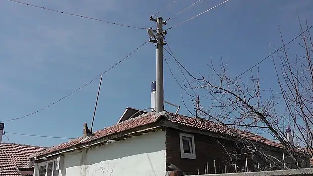 Evin ortasındaki elektrik direği görenleri şaşırtıyor