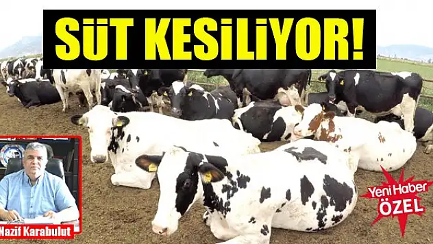 Süt kesiliyor!