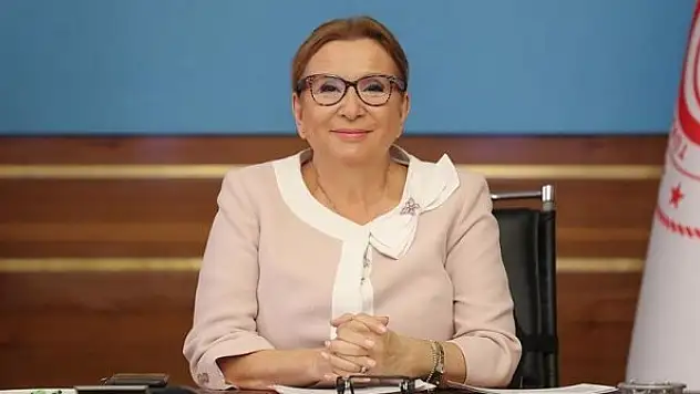 Afrika kıtasında Türk yatırımları 6 milyar dolara ulaştı