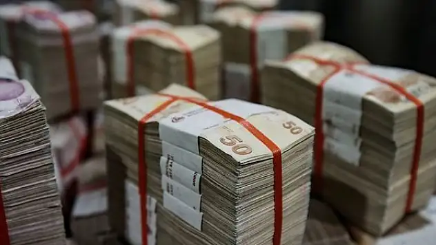 Ödenekte 'aslan payı' Hazine ve Maliye Bakanlığının