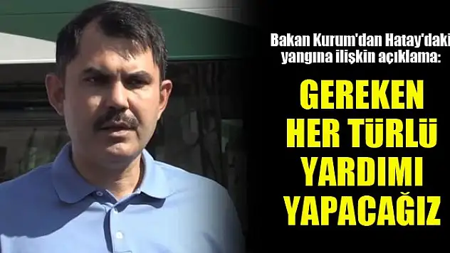 Bakan Kurum'dan Hatay'daki yangına ilişkin açıklama: Gereken her türlü yardımı yapacağız