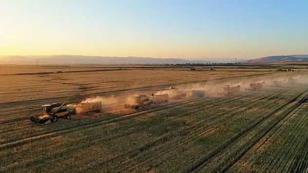 Pandemi sonrası ülkeler buğday stoklama yarışına girdi