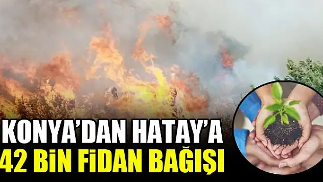 Konya'dan Hatay'a 42 bin fidan bağışı