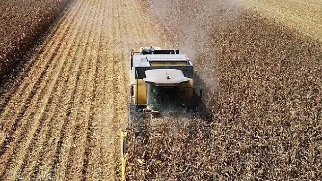 Tarım ÜFE eylülde arttı