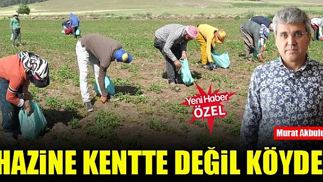 Hazine kentte değil köyde!