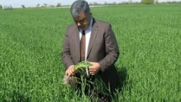 Ereğli'de üreticilere mantar hastalığı uyarısı