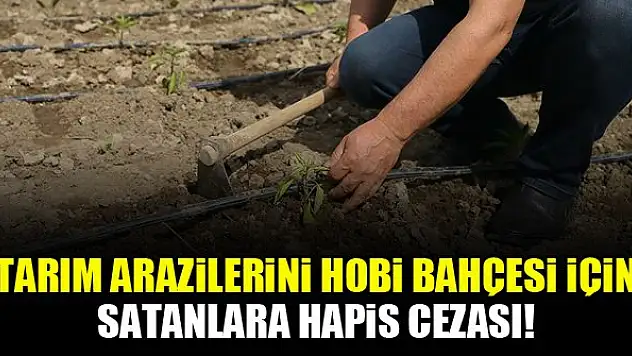 Tarım arazilerini hobi bahçesi için satanlara hapis cezası geliyor