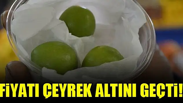 Fiyatı çeyrek altını geride bıraktı!