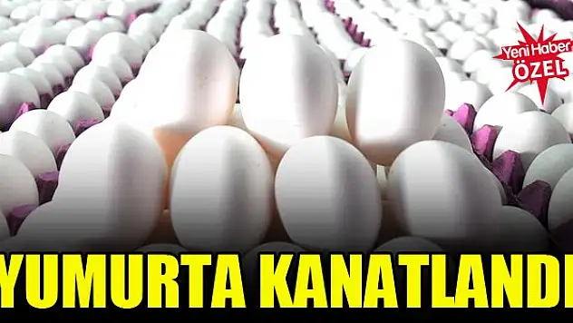 Yumurtada fiyat artışı durmuyor